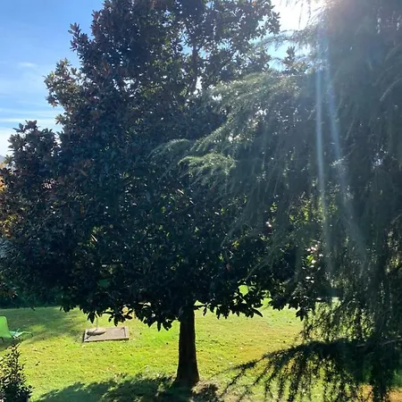 بيت للعطل La Magnolia كالولزيوكورتي