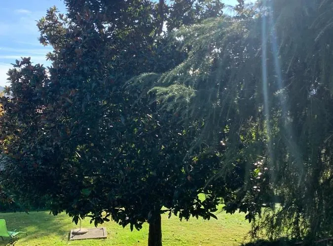 Holiday home La Magnolia Calolziocorte