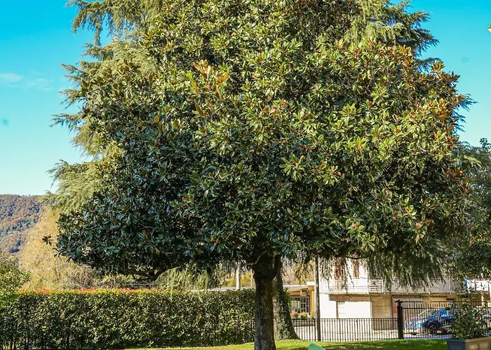 Holiday home La Magnolia